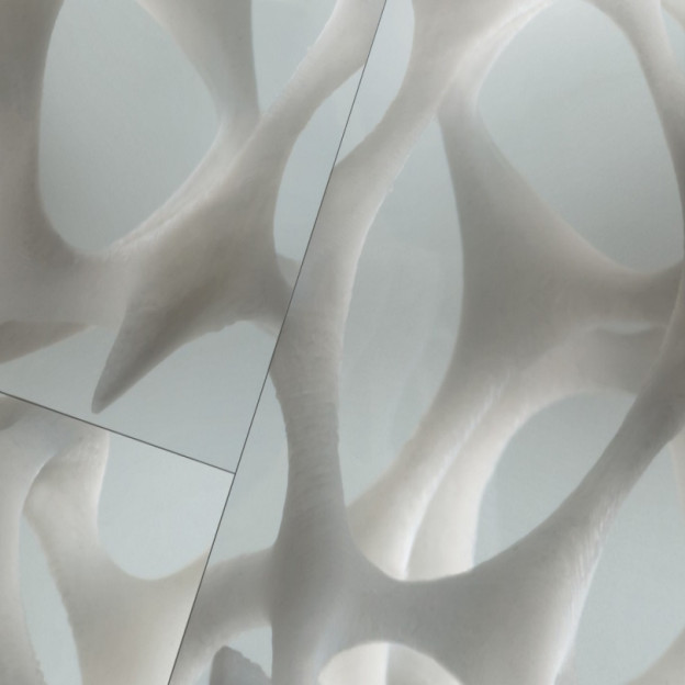 Ламінат Parador Edition 1 1371379 Ross Lovegrove Bone Structure
