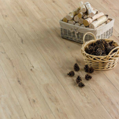 Ламинат Beauty Floor - 441 - Дуб Леди