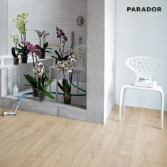 Ламинат Parador - 1567469 - TrendTime 6 Дуб нова светлый выбеленный